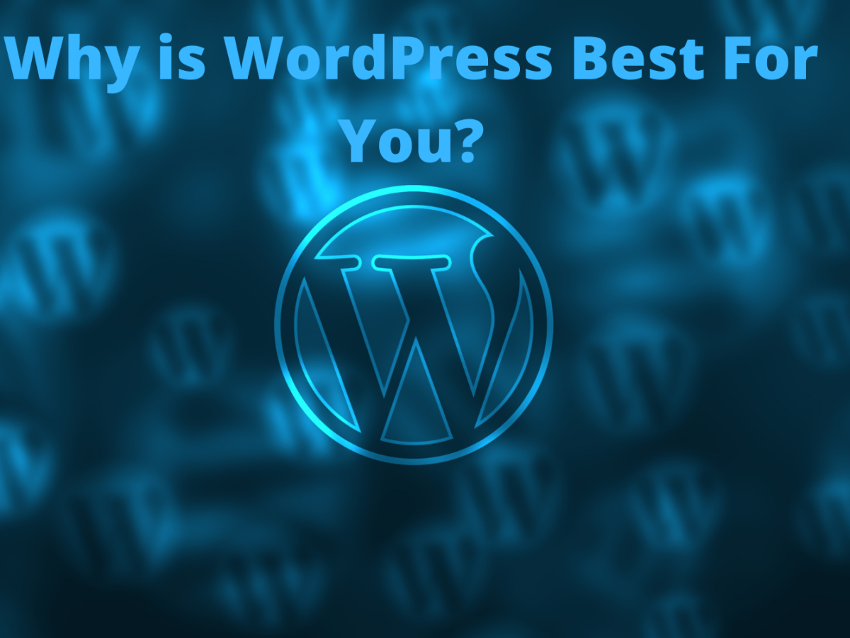 Why is WordPress Best For You?
